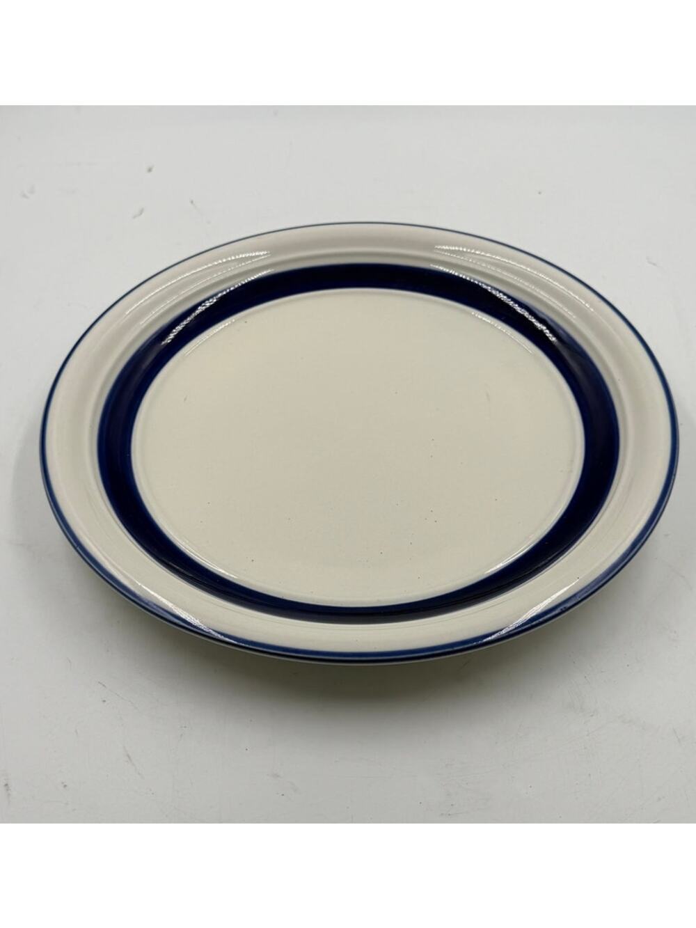 Set of 4 Country Crock Blue by Tienshan Dinner Plates 10-3/4